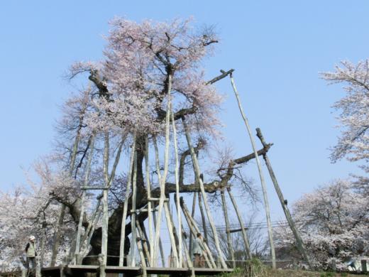 ご無沙汰しております。/