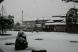 大粒の雪がボタボタ:2010/12/18 17:40