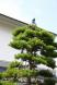 高〜く感じる青い空:2011/08/17 10:55