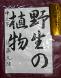 見事な作品「南陽市長賞」受賞:2011/11/29 21:57