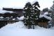 本格的な雪:2012/01/05 19:58