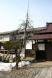 臨雲文庫前のしだれ桜:2012/03/30 14:25