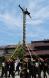結城豊太郎先生の生誕を祝う:2012/05/26 20:48