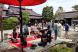 庭で野点 おいしいお茶を一服:2012/05/26 21:03