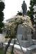 3本目の桜 結城先生の背中を見つめて:2013/04/27 21:57
