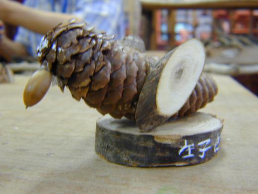 テーマは「ひよこ」/