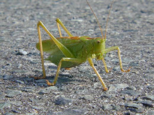 カメラも気にならない様子/