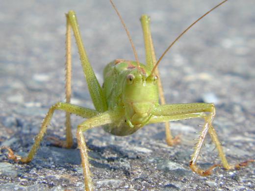 くやしいので前から.../