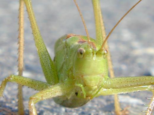 もっと近づいて/