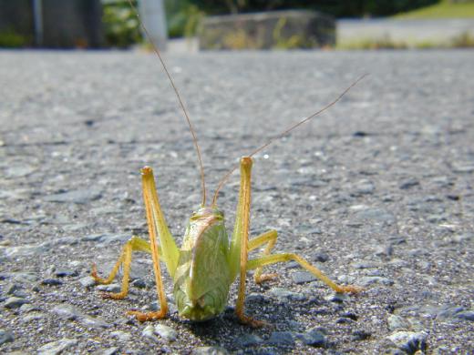 そして最後に後ろから/