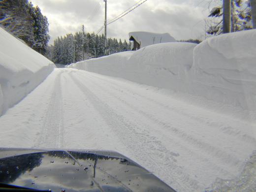 菅沼峠に向かいます。/