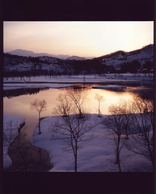 2月末〜3月初旬/