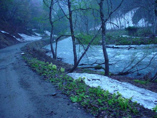 »³¤ÎÂ群µ¤Þ¡¢¤³¤ó¤Ë¤Á¤ï/