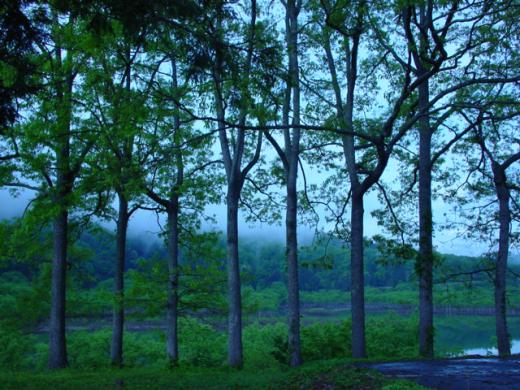 Â裱²ó¤ä¤Þ¤¬¤¿·Ê´Ñ¾Þ¤ËÁª¤Ð¤ì¤¿¤ó¤Ç¤¹¤è/