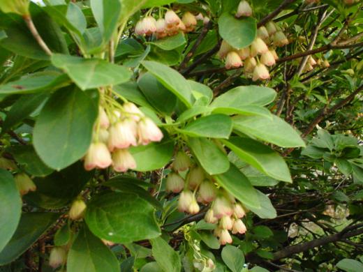 上流の UPPER が、嘆いて居ります。。。はぁ〜/