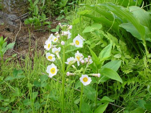 早めのご報告です。/