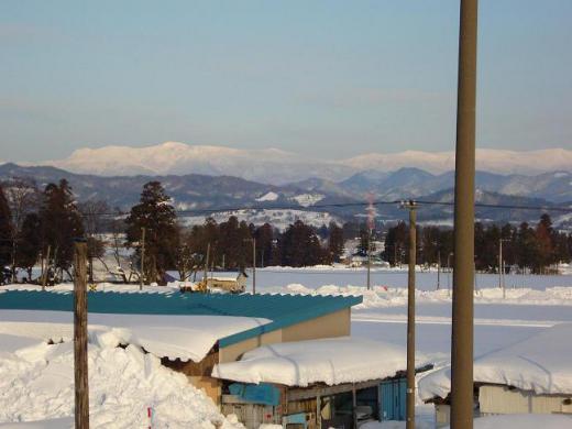今年は特別な大雪で春が待ちどうしい。人生の春の息吹も聞こえてくる(●^o^●)/
