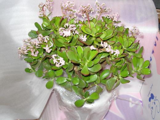 成功を掴むには(^O^)//