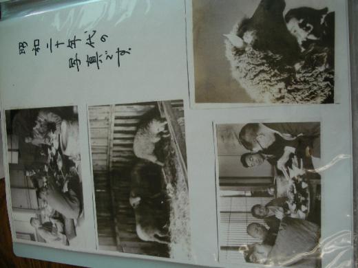 当時の懐かしい写真その2/