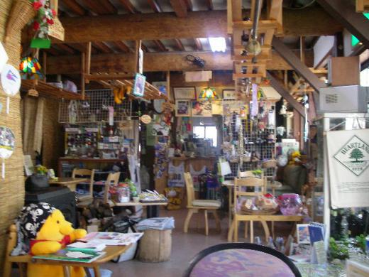 アットホームな店内/