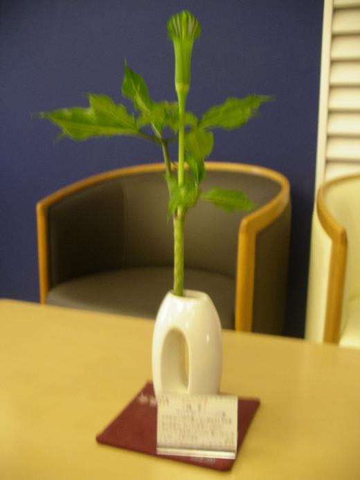 たかみや瑠璃倶楽リゾート/