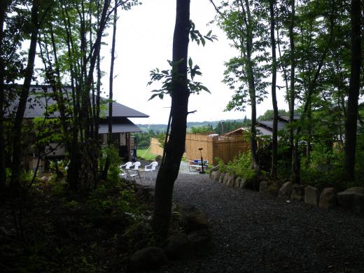 木立の中に佇む竜山の湯・・・/