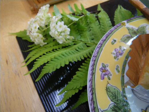 白いお花・・・/