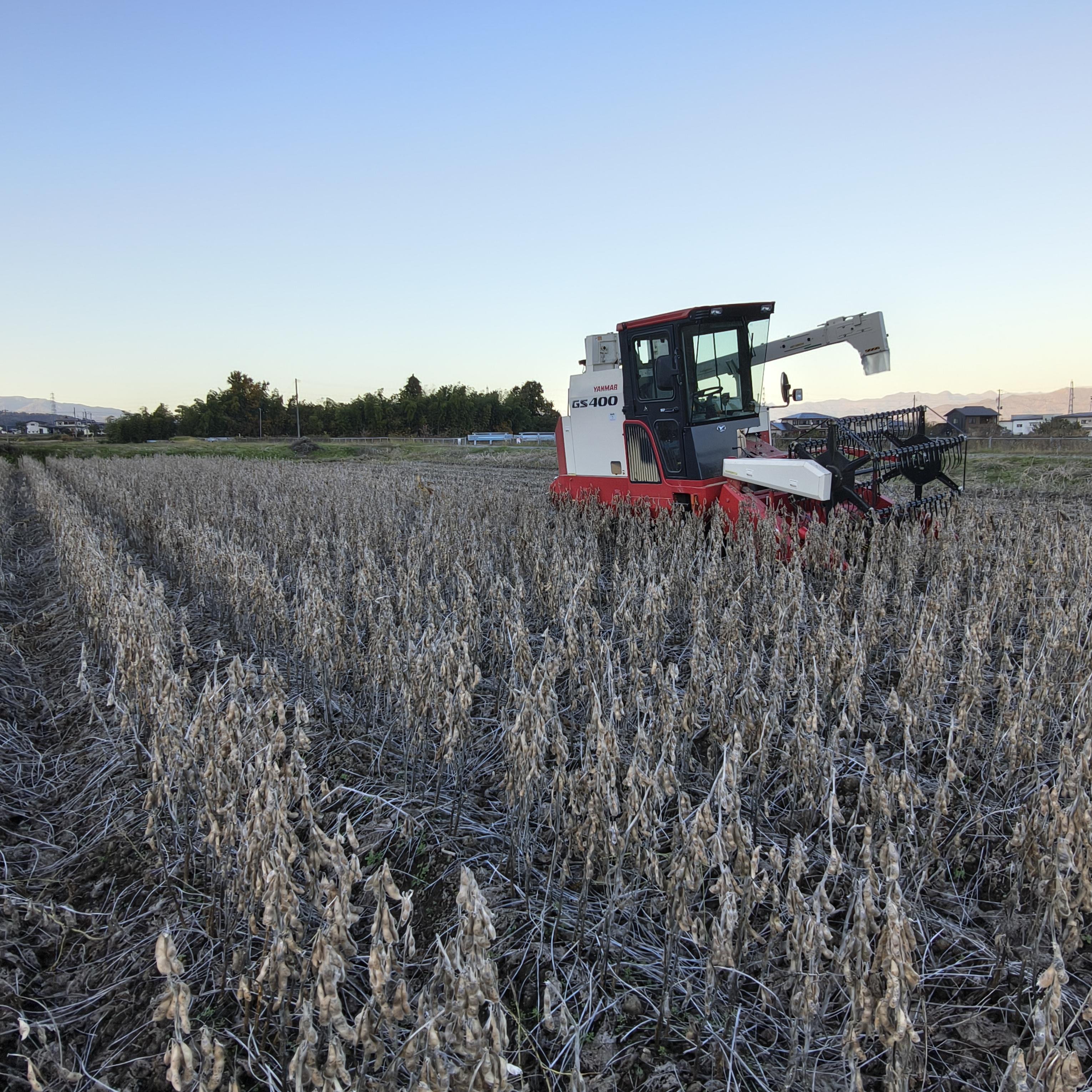 大豆収穫：村木沢あじさい営農組合｜山形の芋煮・悪戸いも・米・味噌を販売