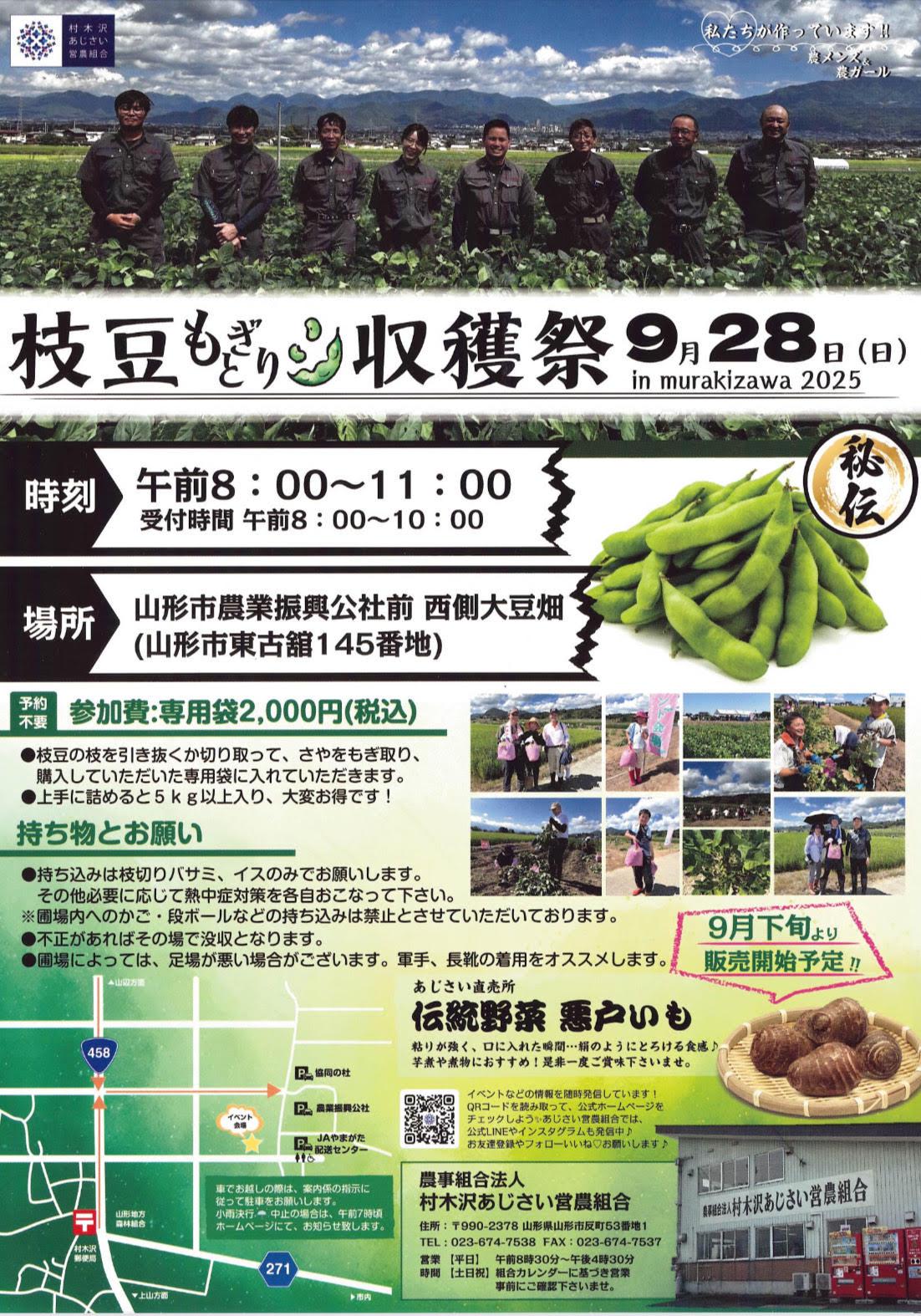 本日枝豆【秘伝まめ】収穫祭開催♪：村木沢あじさい営農組合｜山形の