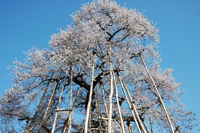 餫/