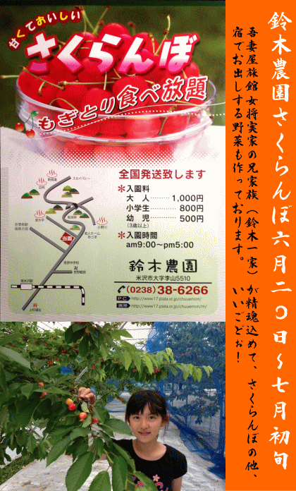 【続報】鈴木農園さくらんぼ ６月２０日〜：2013/06/17 14:29