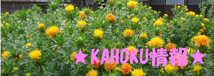 KAHOKUϤ!!