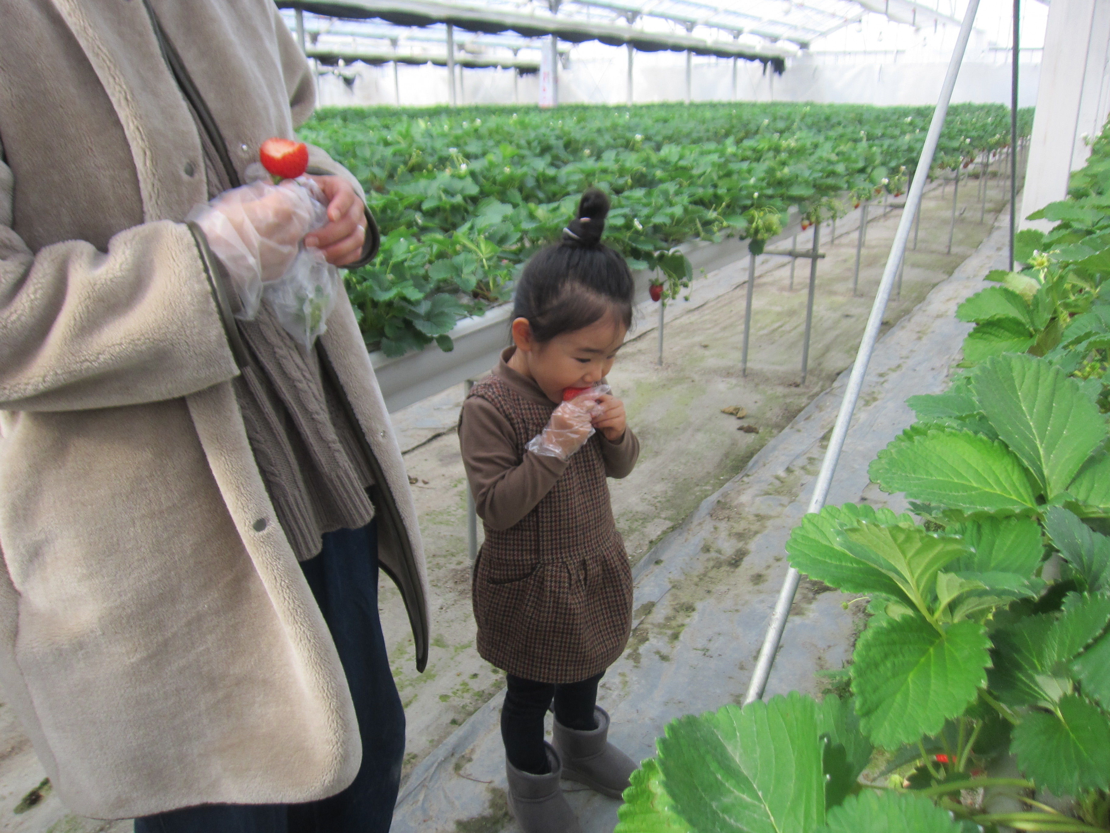 ���Ϲ��ԤΤ�����������ͻ�