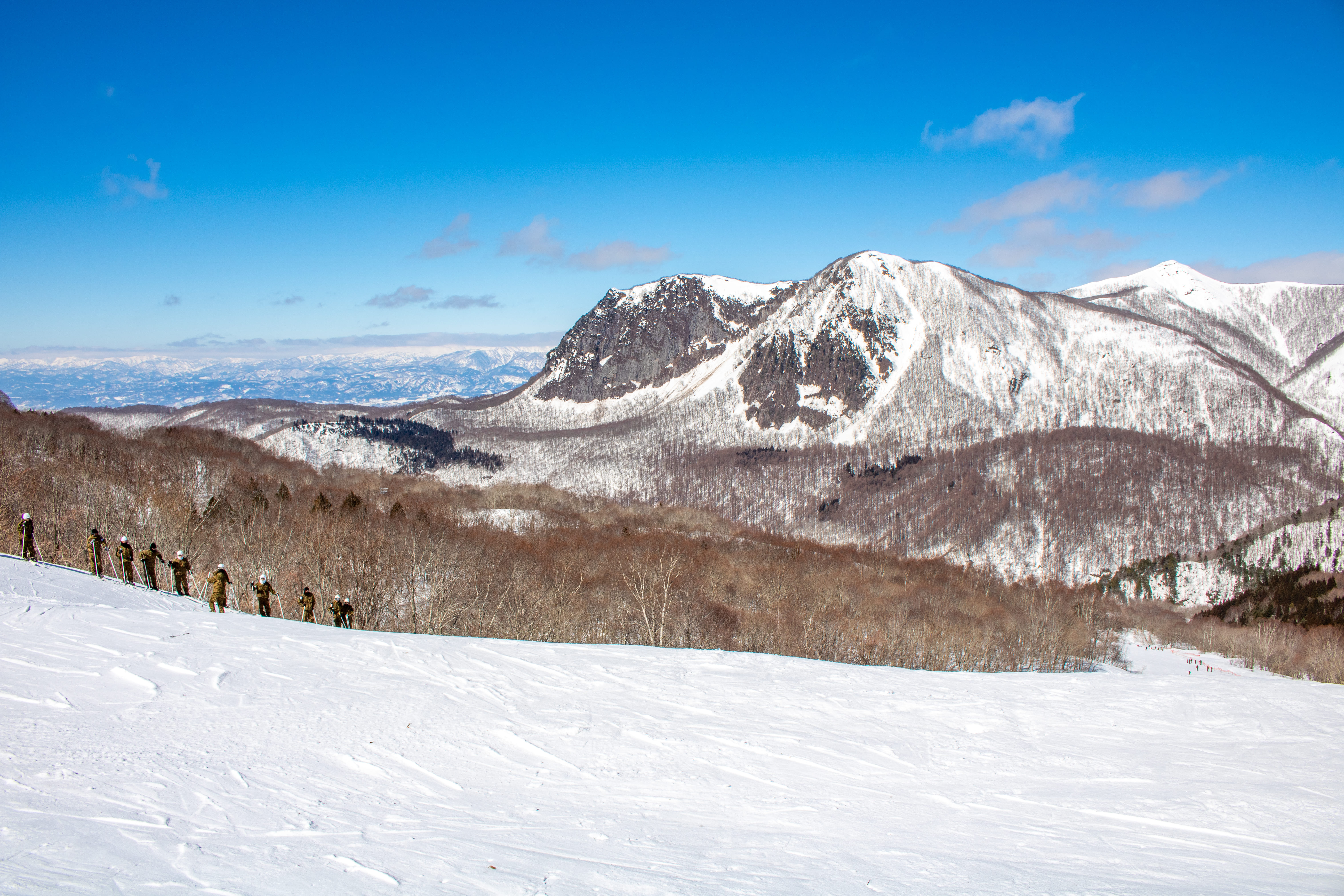 Ρܡפ⸶Ρѡ󥰥롦󥰥ͻ