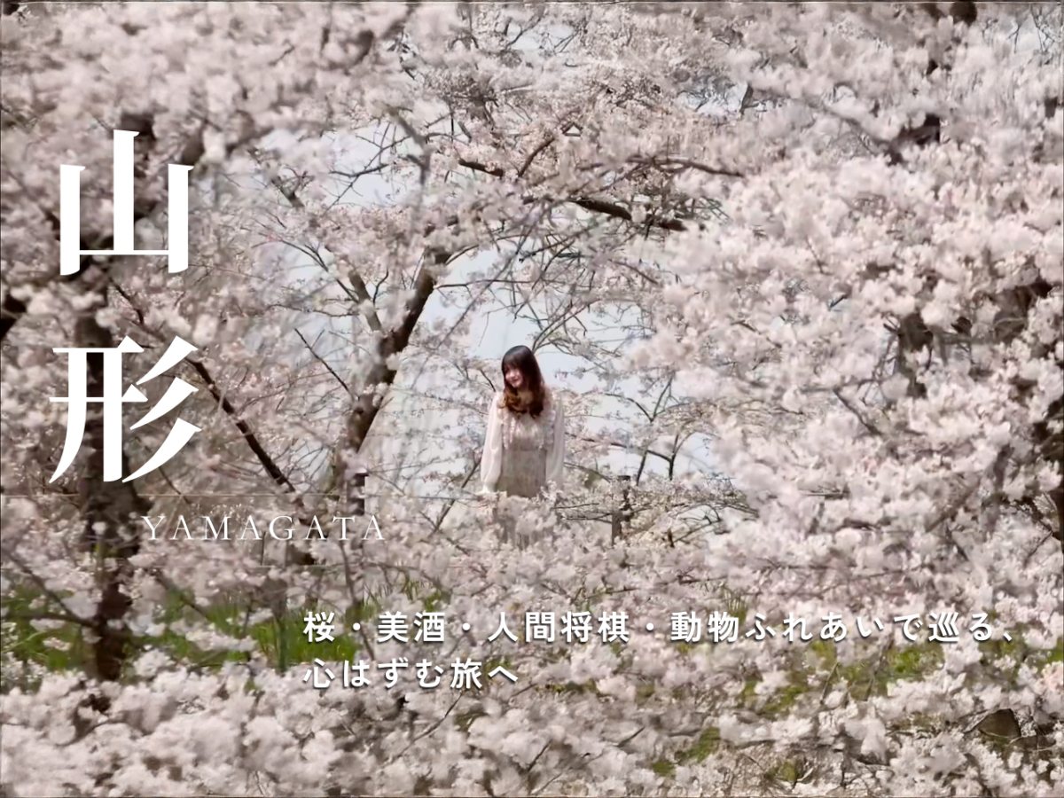 動画を再生する