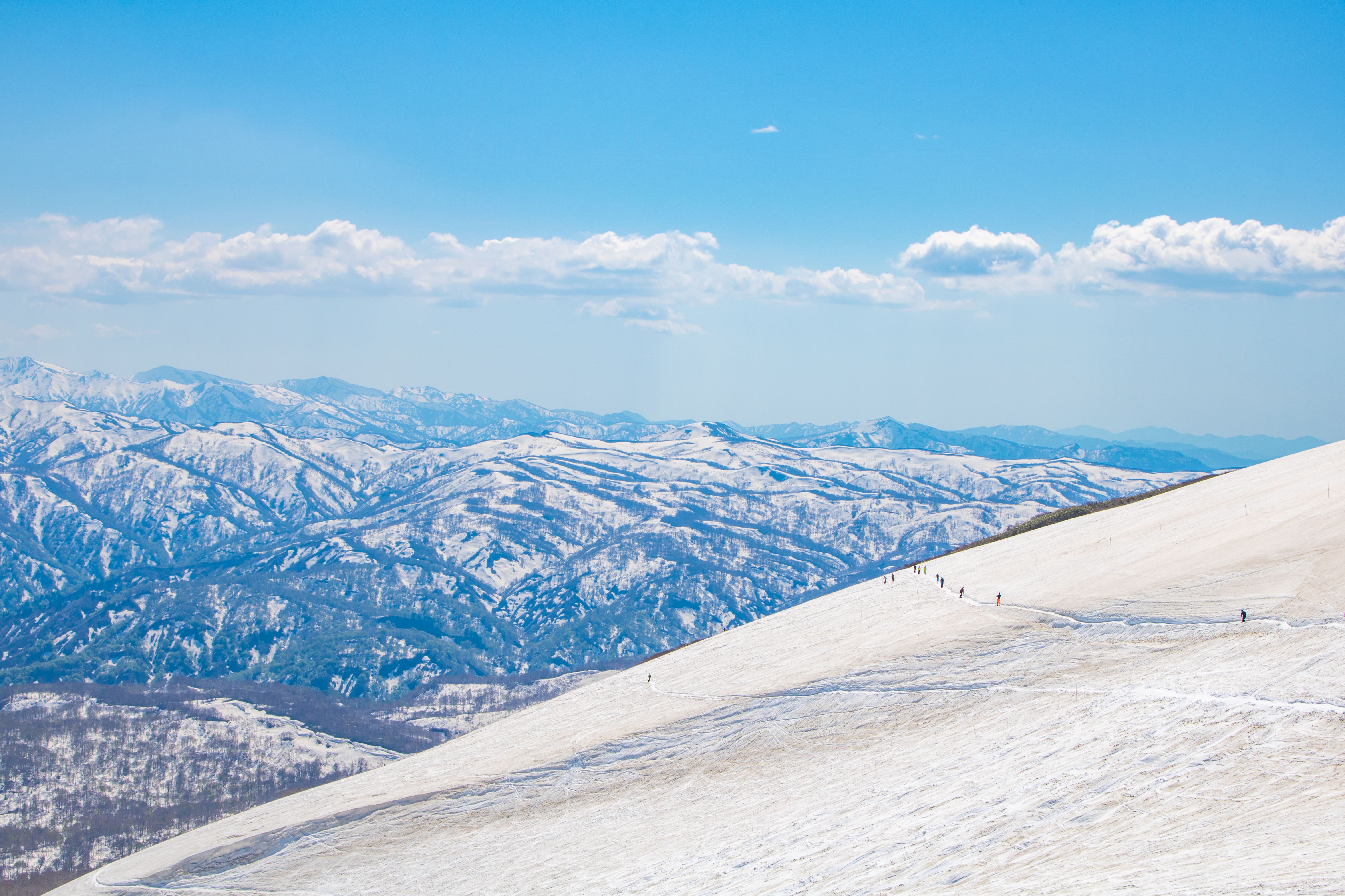 ƤǤ㤬Ĥǽեڤॹ䡼