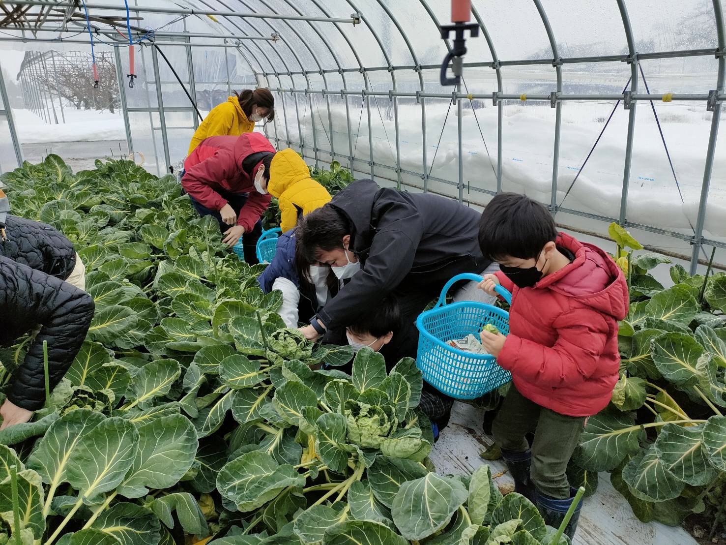 ¼���Ԥ�����ڼ����θ����ͻ�