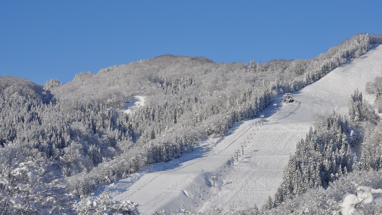 AsahiѥΡѡ˾ͺ㻳ηʿ