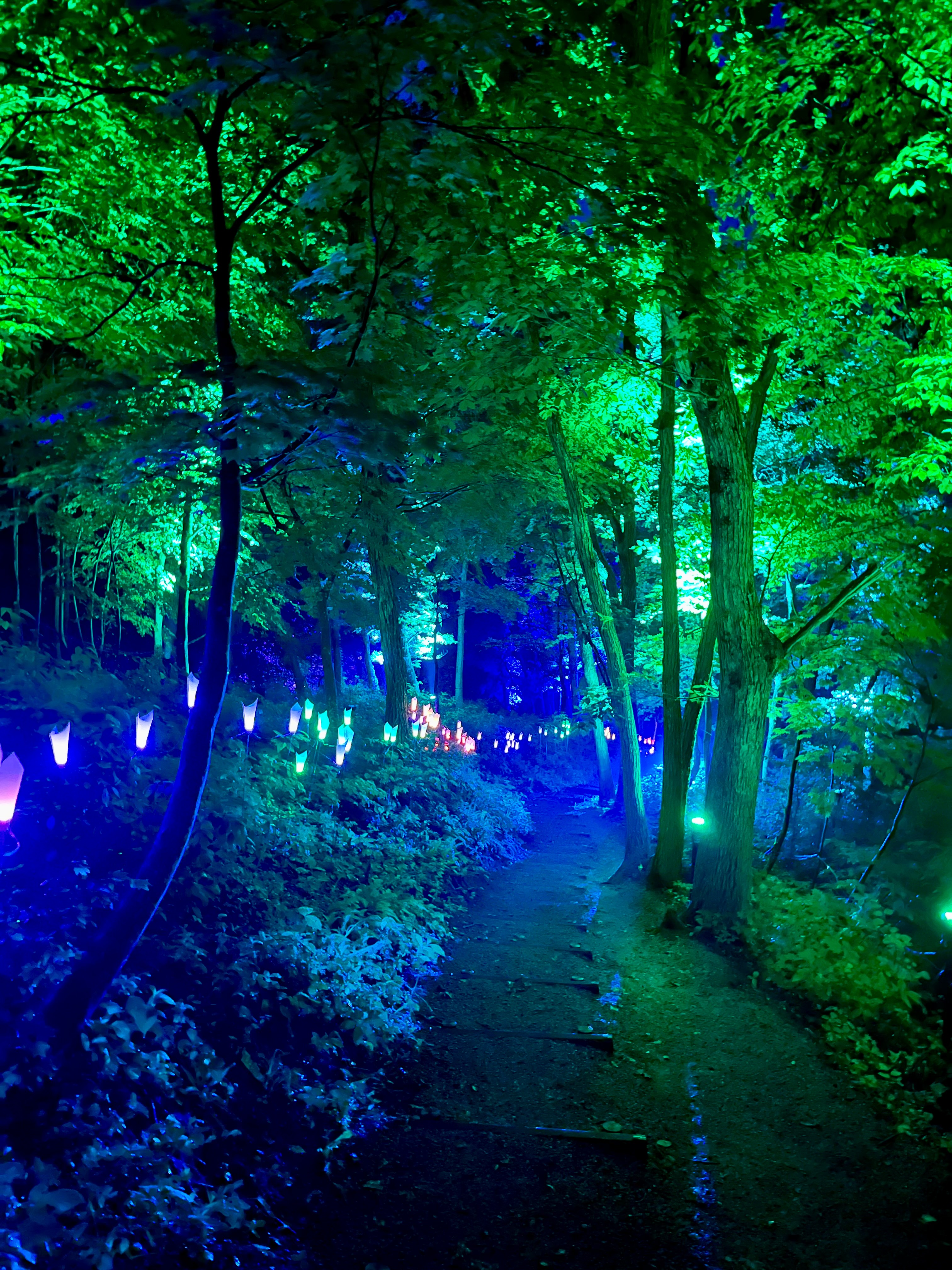 夜空に映える空気神社のライトアップ