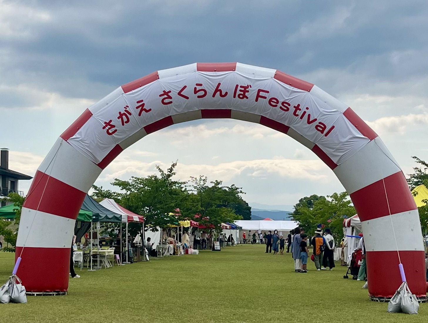 FestivalΥݥ