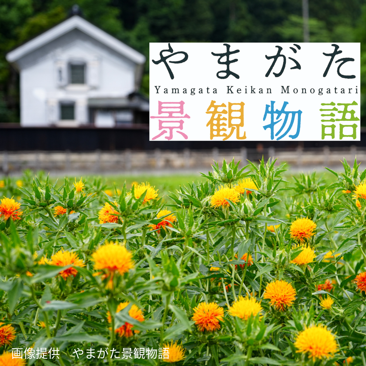 山形県内の美しい景観を紹介するやまがた景観物語