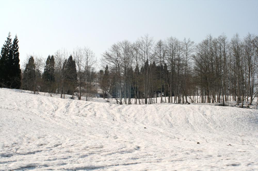 NO1　スノーシューで雪山散歩，かた雪散歩：画像