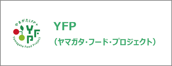 YFPʥޥաɡץȡ