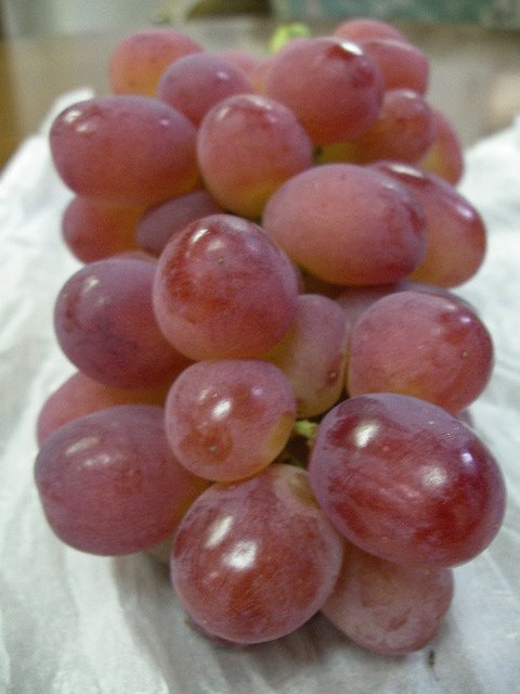 山梨県産 赤嶺 せきれい 赤いぶどう フルッティア フルーツギフト 内祝いや快気祝い お歳暮など贈り物は Fruttier Com で