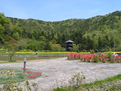 �µ���ȬȨ���ҡ�����