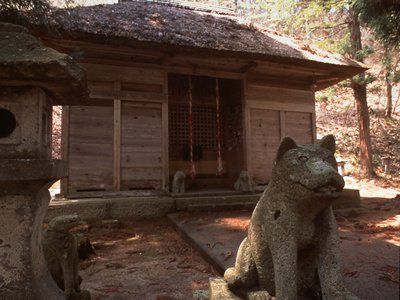 ���εܡ�����