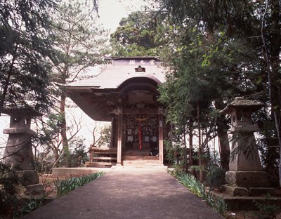 ǭ�εܡ�����