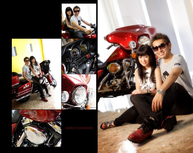 HARLEY-DAVIDSON������