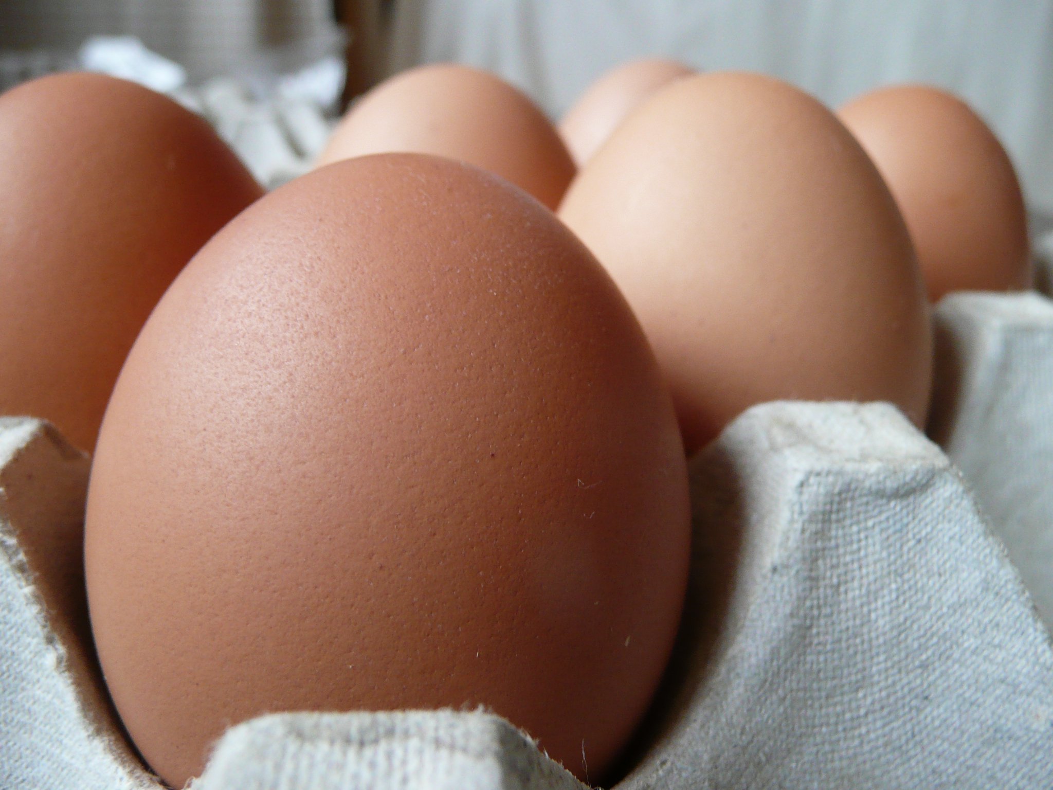 ��������Ǥ�!!������