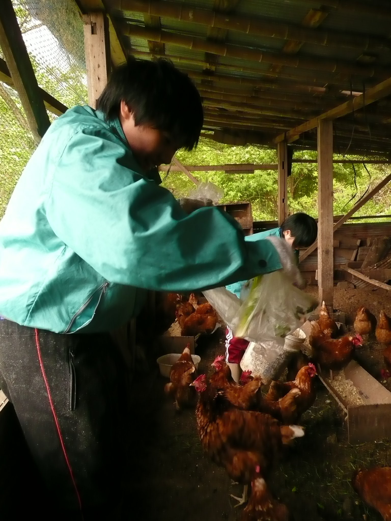 ���ä����äƤ��ޤ�����������